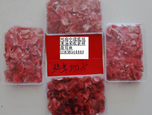 可现场切鲜鹿茸片